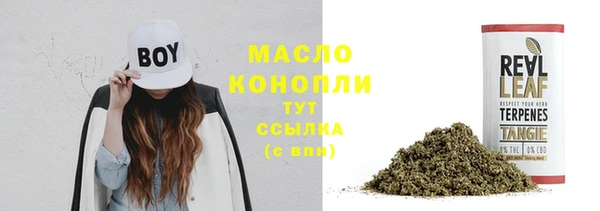 прущие грибы Аркадак