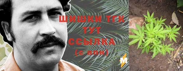 прущие грибы Аркадак