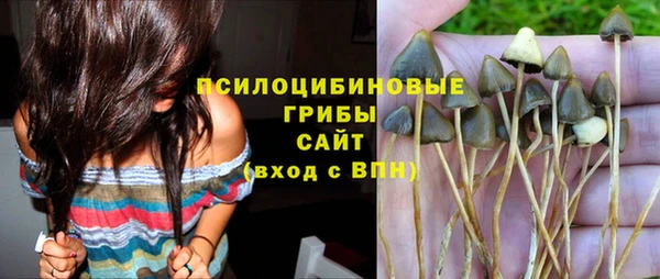 не бодяженный Армянск