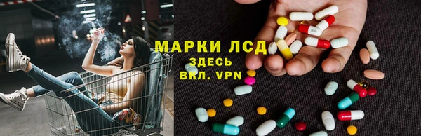 прущие грибы Аркадак