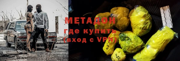 прущие грибы Аркадак