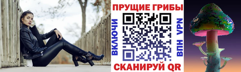 кракен вход  Покров  Псилоцибиновые грибы Psilocybine cubensis 